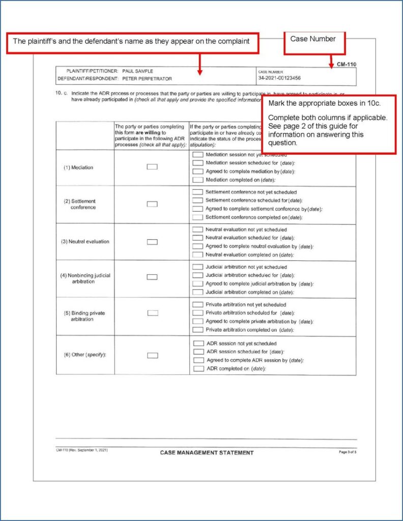 Case Management Statement (CM-110) (page 3)