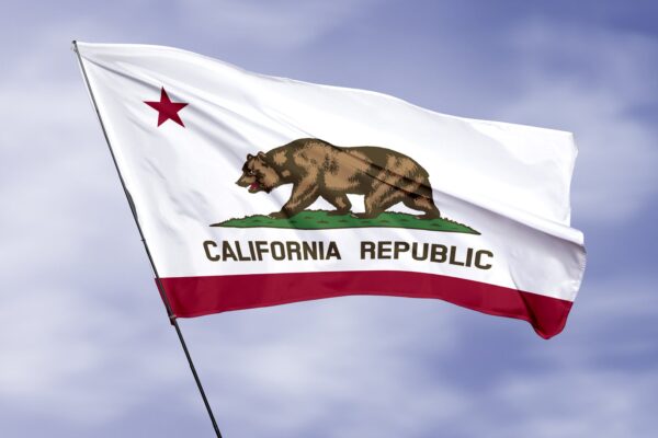 California State Flag