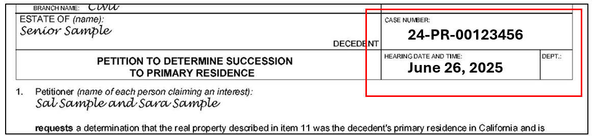 Caption page showing where to locate the case number and hearing date after the court processes the Petition.