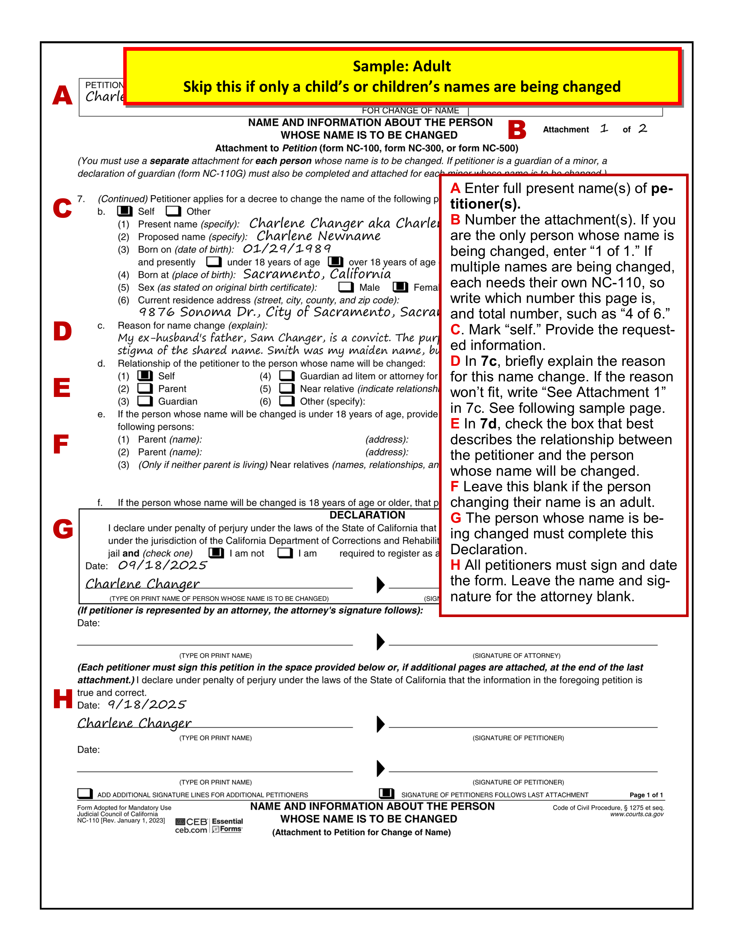Sample filled in Name and Information attachment (NC-110) - Adult version