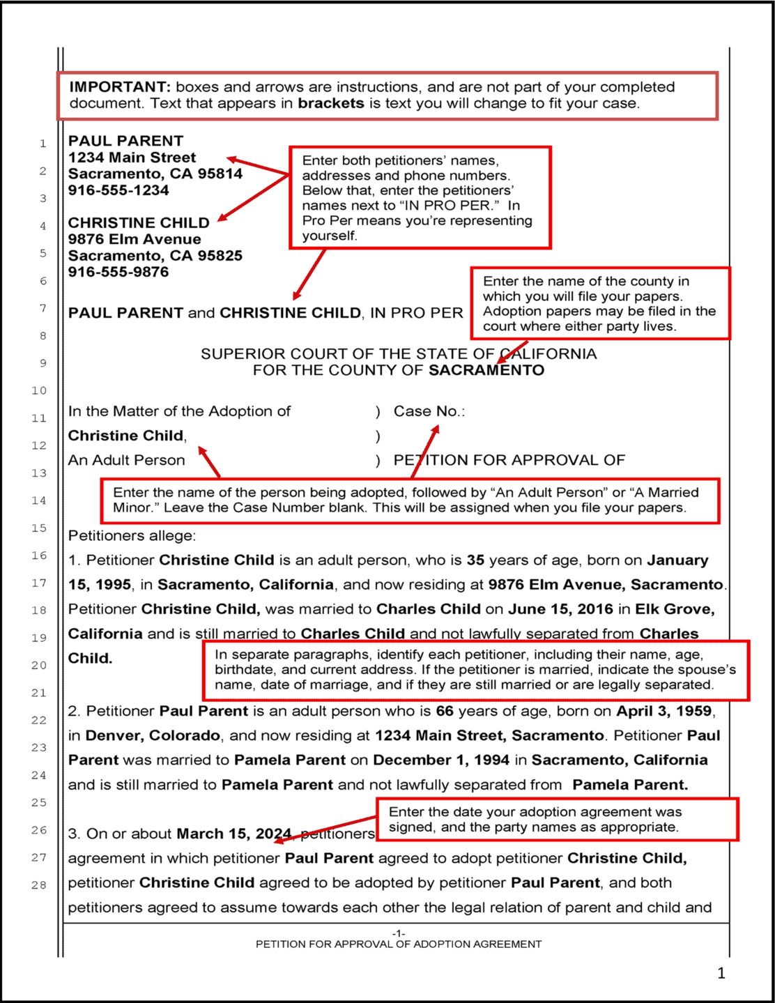Adult Adoption - Sample Petition for Approval of Adult Adoption, page 1