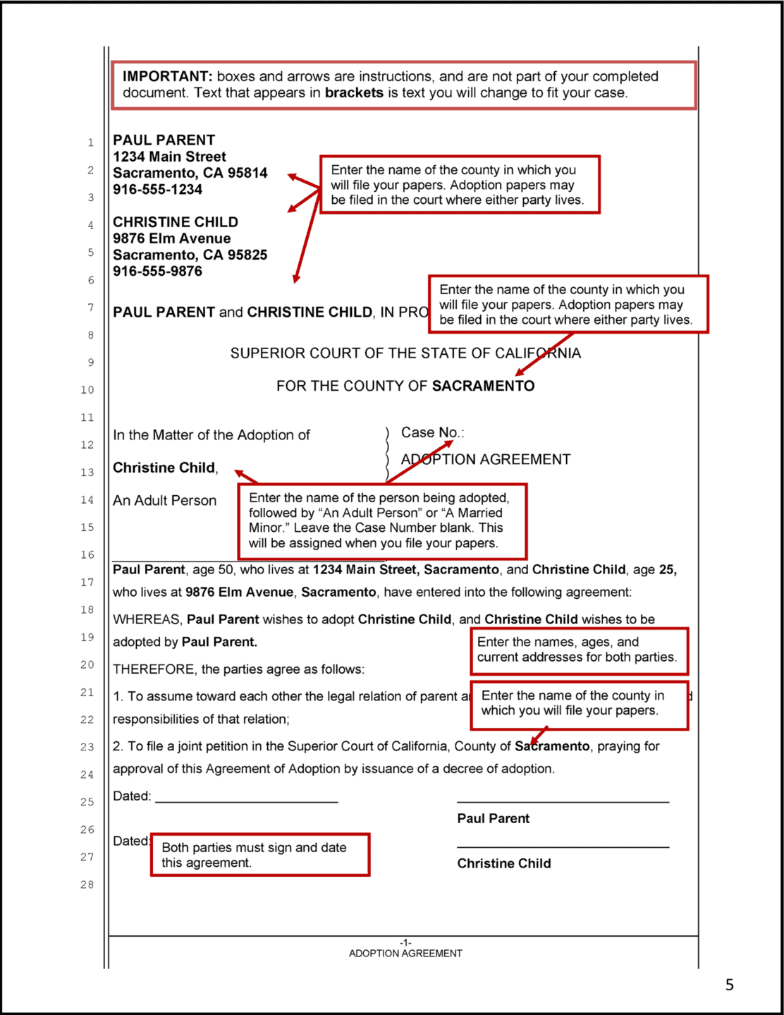 Adult Adoption - Sample Adoption Agreement