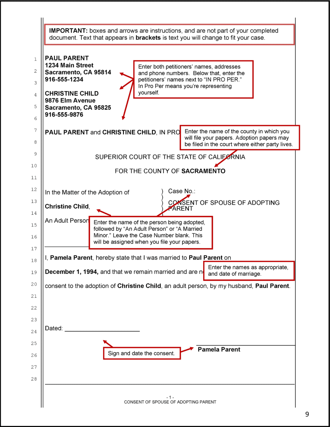 Adult Adoption - Sample Consent of Adopting Parent
